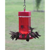 First Nature 32 oz Hummingbird Feeder Red Wide Mouth Easy Clean 10 Ports