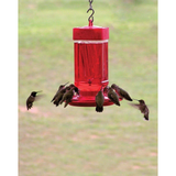 First Nature 32 oz Hummingbird Feeder Red Wide Mouth Easy Clean 10 Ports